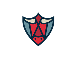 BetBull 500x500_white